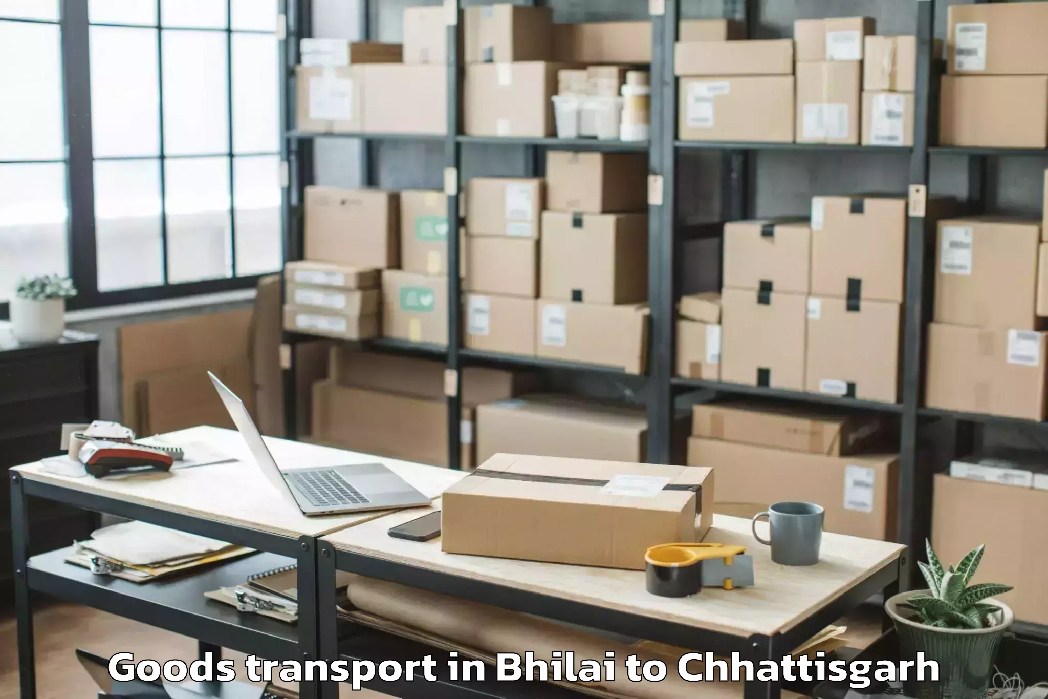 Top Bhilai to Pithora Goods Transport Available